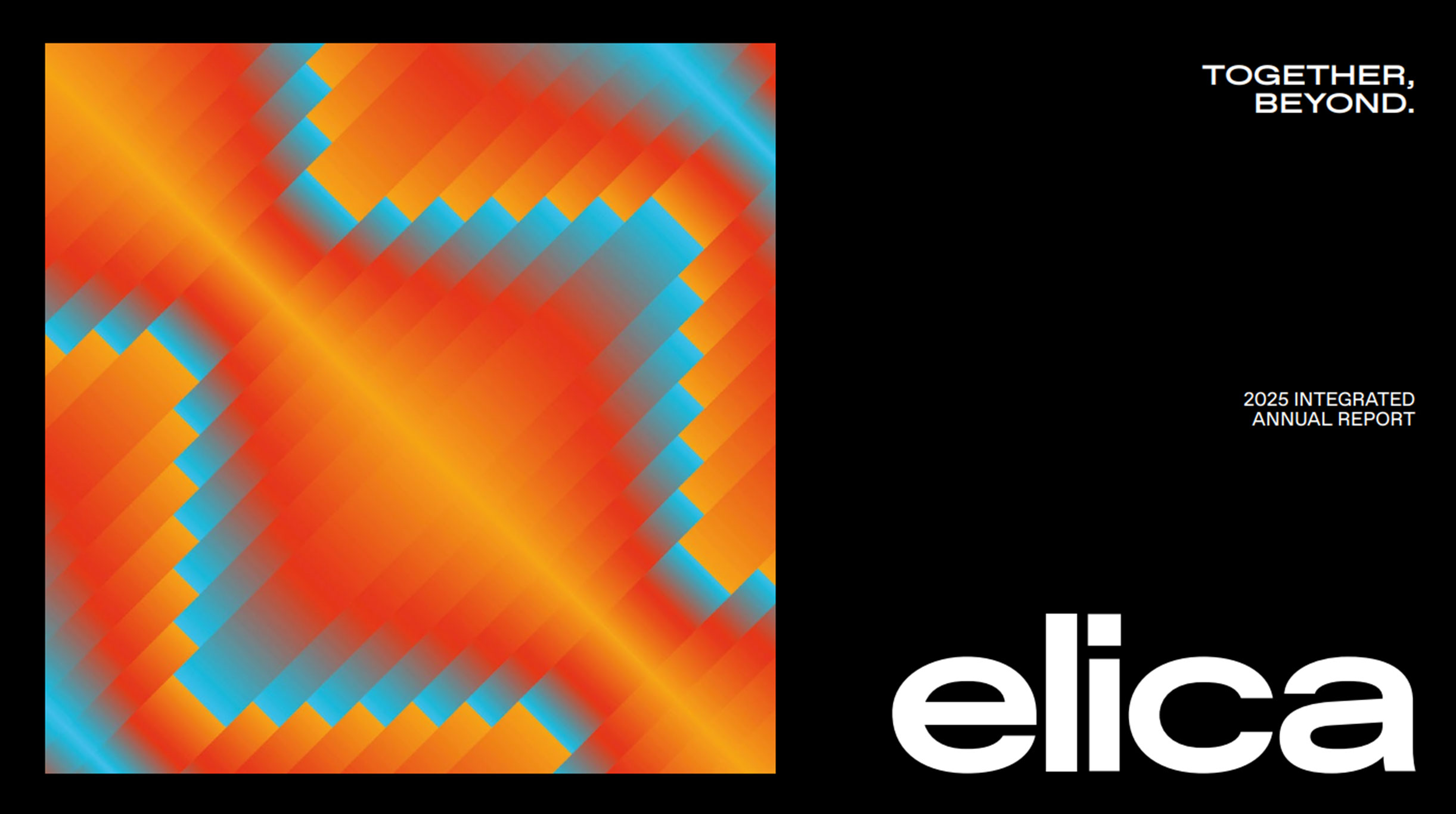 Relazione Annuale Integrata 2025